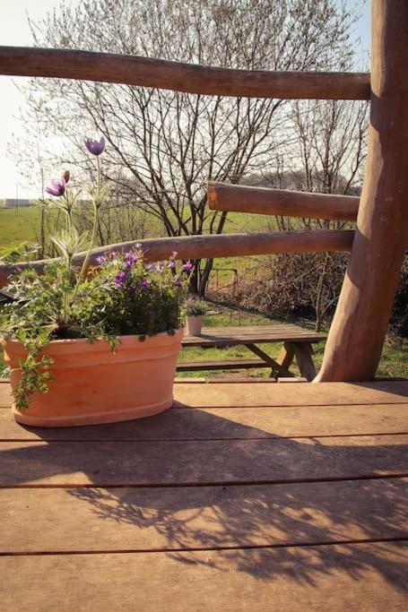 Tinyhouse Zirkuswagen- Kotten Kunterbunt نوتولن المظهر الخارجي الصورة