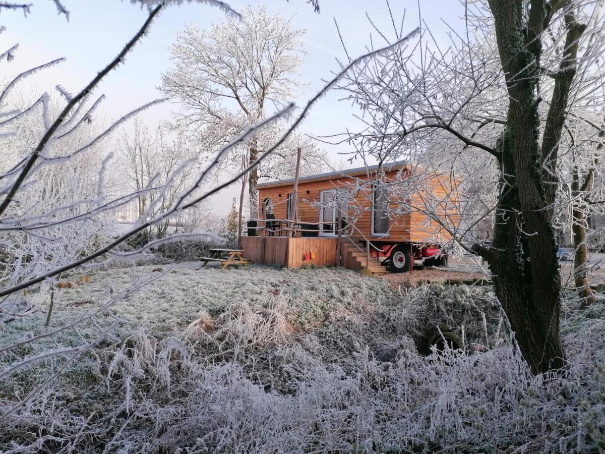 Tinyhouse Zirkuswagen- Kotten Kunterbunt نوتولن المظهر الخارجي الصورة